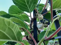 20210614_053140.webp 20210614_053140.webp