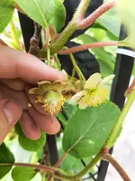 20210618_154618.webp 20210618_154618.webp