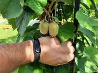 20210815_100940.webp 20210815_100940.webp