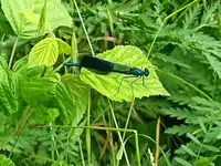 IMG_20220607_091409.webp