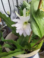 IMG_20220707_093618.webp