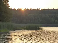 P1080759.webp