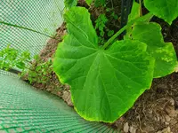 20220707_124605.webp