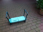 DSC02556.JPG