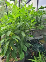 20220706_180235.webp