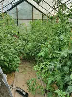 20220706_180009.webp