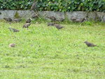 DSC02560.JPG