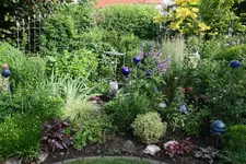 Juni    3721.webp
