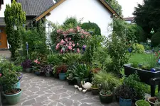 Terasse       2722.webp