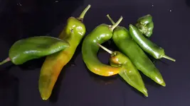 20191114_130618.webp