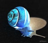 Blaue Schnecke vor schwarzem Hintergrund.webp