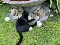 C673FE9A-24CE-4EA4-B746-64B78DF0FF35.jpeg