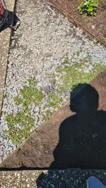 20220614_130531.jpg