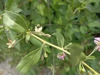 IMG_20220706_110528.webp