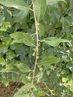 IMG_20220706_110545.webp