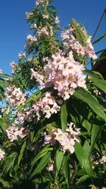 20190628_065900.jpg