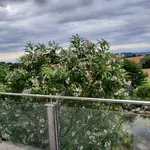 20220709_064334.jpg