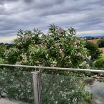 20220709_064334.jpg