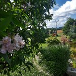 20220708_093000.jpg