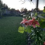 20220708_212504.webp