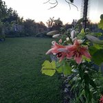 20220708_212504.jpg