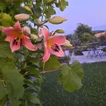 20220708_212554.webp