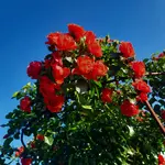 20220708_191558.webp