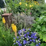 20220709_082129.webp