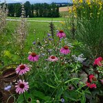 20220709_082349.jpg