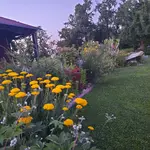 20220708_212250.jpg
