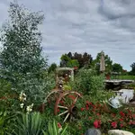 20220709_081624.webp