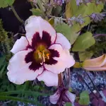 20220708_211904.webp