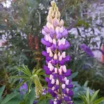 20220708_212008.webp