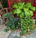 20220709_083525.webp
