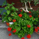 20220709_083606.webp