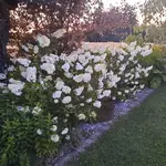 20220708_212521.jpg