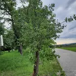 20220709_072839.webp