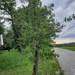 20220709_072839.jpg