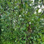 20220709_072850.jpg