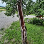 20220709_072917.jpg