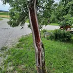 20220709_072917.webp