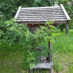 20220709_072939.jpg