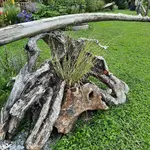 20220709_081743.jpg