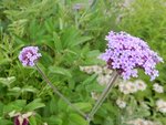 DSCN3834.JPG