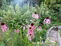 DSCN3837.webp
