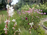 DSCN3842.webp