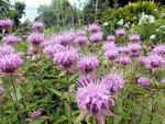 DSCN3852.JPG