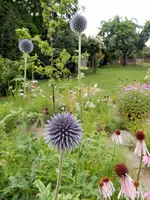 DSCN3860.JPG