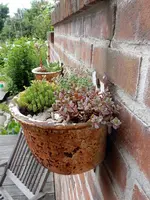 DSCN3862.webp