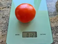 20220710_101715.jpg